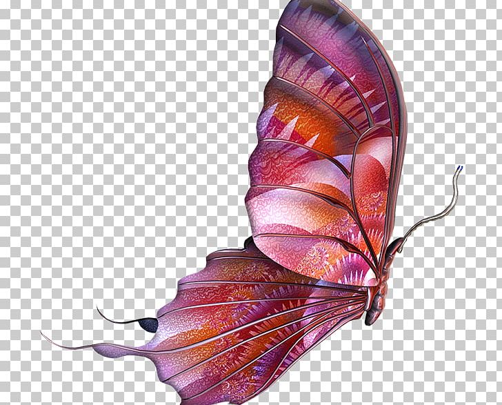 Butterfly PNG, Clipart, Butterflies And Moths, Butterfly, Color, Desktop Wallpaper, Download Free PNG Download
