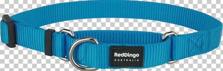 Dog Collar Dingo Martingale PNG, Clipart, Animals, Aqua, Azure, Blue, Collar Free PNG Download