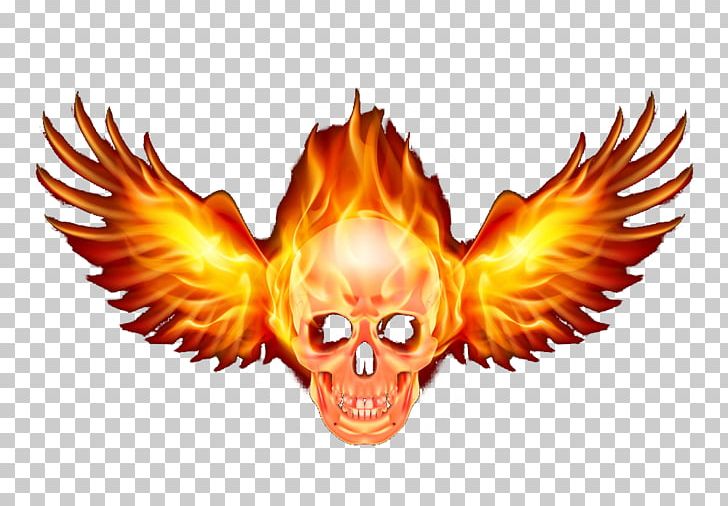 Flame Combustion PNG, Clipart, Angel Wing, Angel Wings, Art, Beak, Chicken Wings Free PNG Download