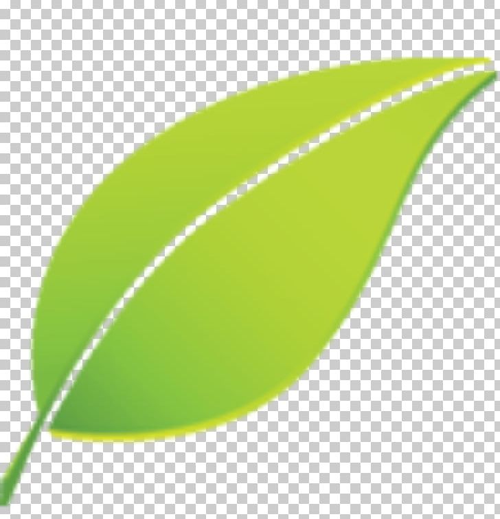 Leaf Plant PNG, Clipart, Grass, Green, Leaf, Line, Nature Free PNG Download