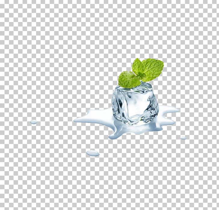 Mentha Spicata Electronic Cigarette Aerosol And Liquid Ice Menthol PNG, Clipart, Autumn Leaves, Bubble Gum, Clear Ice, Computer Wallpaper, Drop Free PNG Download