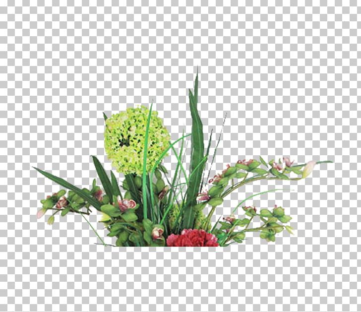 Facial Mask Comedo Skin Care Plant PNG, Clipart, Cleanser, Cut Flowers, Data Compression, Euclidean Vector, Face Free PNG Download