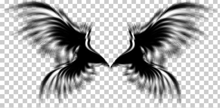 Wing Angel PNG, Clipart, Angel, Angel Wing, Bird, Digital Image, Fantasy Free PNG Download