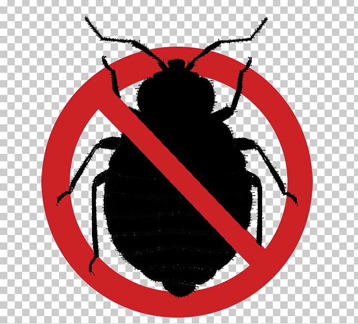 Bedbug Insect Bed Frame Bed Bug Bite PNG, Clipart, Bed, Bed Bug, Bedbug, Bed Bug Bite, Bed Bug Control Techniques Free PNG Download