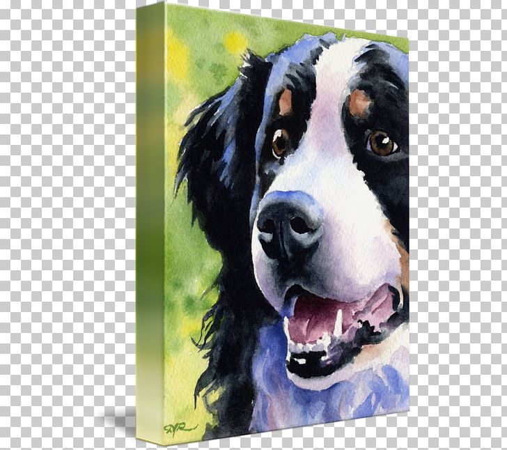 Bernese Mountain Dog Dog Breed St. Bernard Australian Cattle Dog German Shepherd PNG, Clipart, Art, Australian Cattle Dog, Bernese Mountain Dog, Boskapshund, Carnivoran Free PNG Download