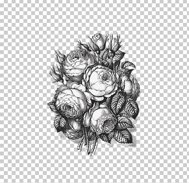 Black And White Beach Rose PNG, Clipart, Architecture, Art, Artwork, Background Black, Black Free PNG Download