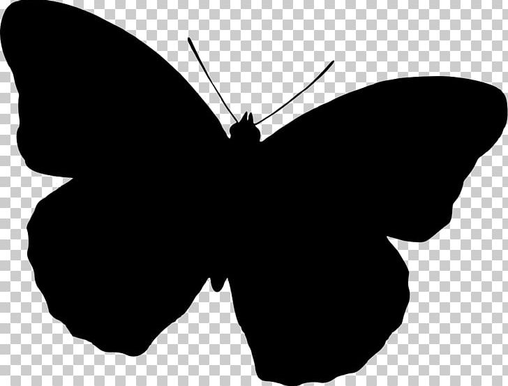 Butterfly Silhouette PNG, Clipart, Arthropod, Black, Brush Footed Butterfly, Butterflies And Moths, Butterfly Free PNG Download