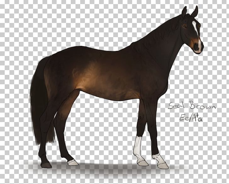 Stallion Andalusian Horse Fjord Horse Mustang Arabian Horse PNG, Clipart, Andalusian Horse, Arabian Horse, Bridle, Colt, Draft Horse Free PNG Download