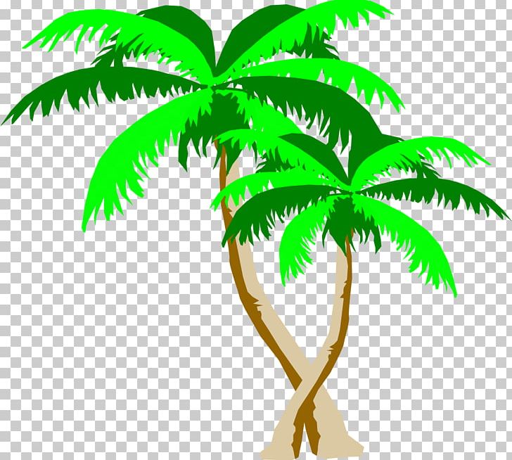 Arecaceae Leaf Plant Stem Tree PNG, Clipart, Arecaceae, Arecales, Bungalows, Flowering Plant, Flowerpot Free PNG Download