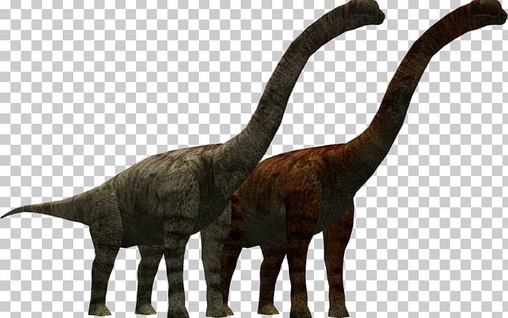 Opisthocoelicaudia Homalocephale Nemegtomaia Animal Velociraptor PNG, Clipart, Acrocanthosaurus, Allosaurus, Animal, Animal Figure, Austroraptor Free PNG Download