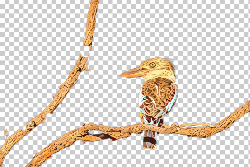 Bird Beak Branch Twig Wildlife PNG, Clipart, Beak, Bird, Branch, Twig, Wildlife Free PNG Download