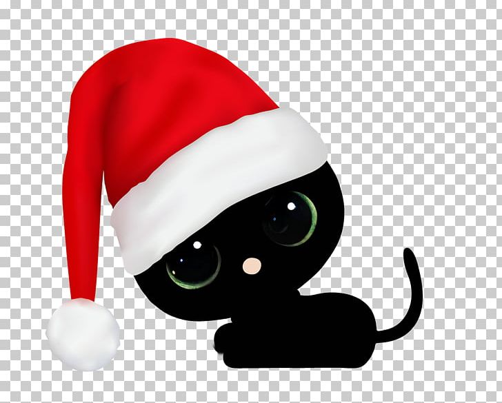 Cat Santa Claus Whiskers Mammal Christmas PNG, Clipart, Animal, Animals, Carnivora, Carnivoran, Cat Free PNG Download