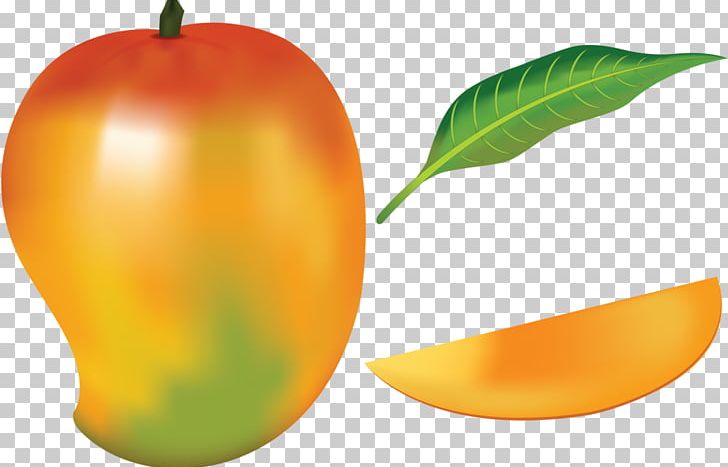 Mango Fruit Drawing PNG, Clipart, Anacardiaceae, Apple, Art, Bell Peppers And Chili Peppers, Clip Art Free PNG Download