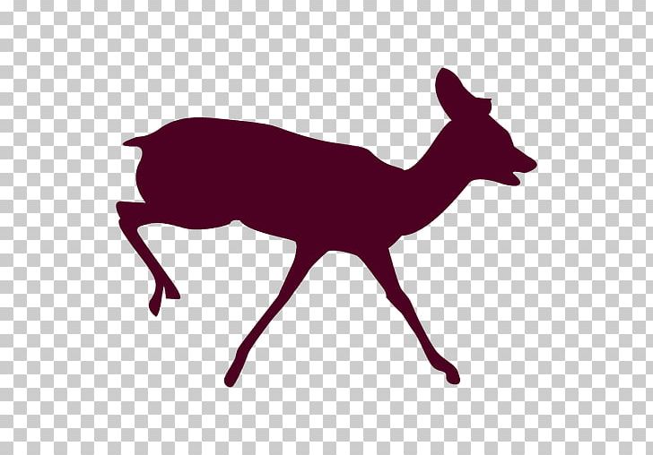 Reindeer Red Deer Canidae Animal PNG, Clipart, Animal, Animals, Antler, Black And White, Canidae Free PNG Download
