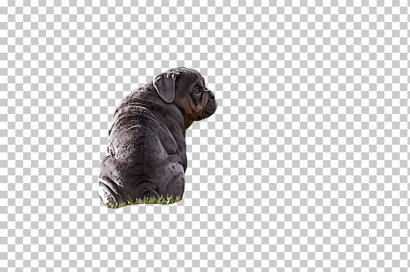 Shar Pei Dog Puppy Sporting Group Non-sporting Group PNG, Clipart, Companion Dog, Dog, Neapolitan Mastiff, Nonsporting Group, Puppy Free PNG Download