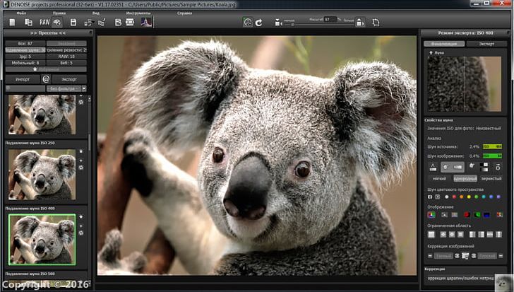 Editing Adobe Photoshop Elements Adobe Systems Computer Software PNG, Clipart, Adobe Creative Cloud, Adobe Photoshop Elements, Adobe Systems, Animals, Animation Free PNG Download