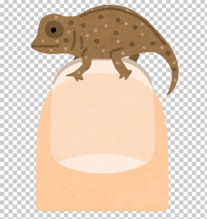 Reptile Terrestrial Animal PNG, Clipart, Animal, Fauna, Microanimal, Others, Reptile Free PNG Download
