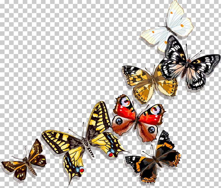 Butterfly Painting PNG, Clipart, Art, Arthropod, Brush Footed Butterfly, Butterflies And Moths, Butterfly Free PNG Download