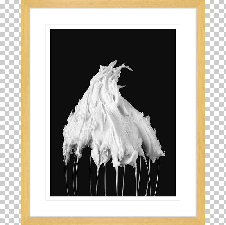 Whisk Kitchen Blender Photography PNG, Clipart, Black And White, Blender, Feather, Flower, Innovate Interiors Free PNG Download