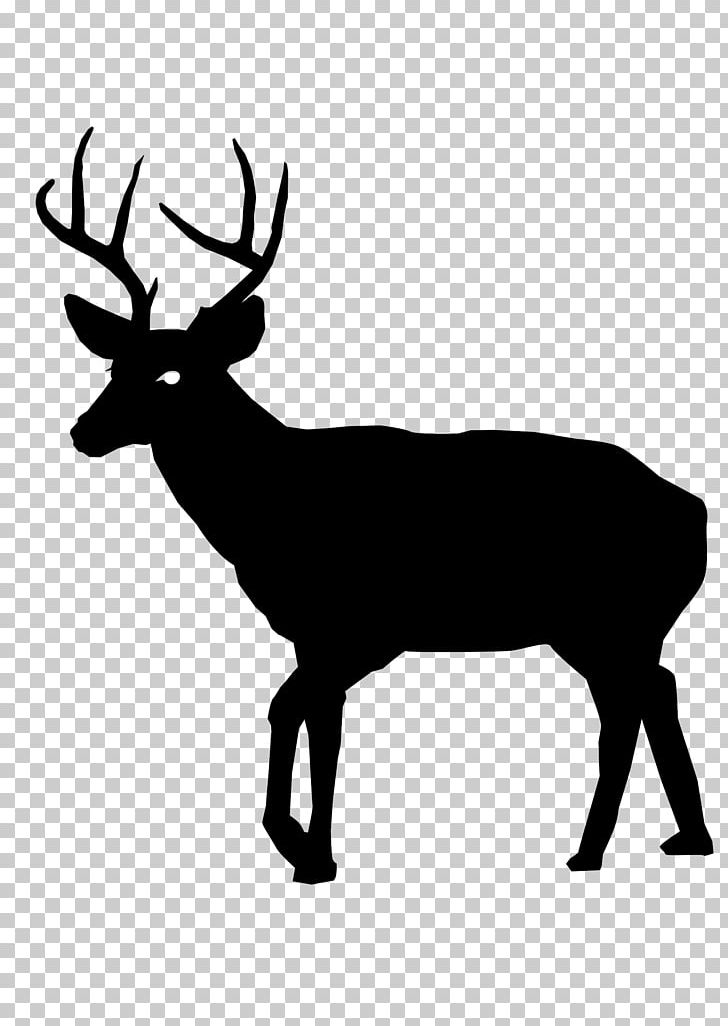White-tailed Deer Deer Hunting PNG, Clipart, Animal, Animals, Antler, Black And White, Buck Free PNG Download