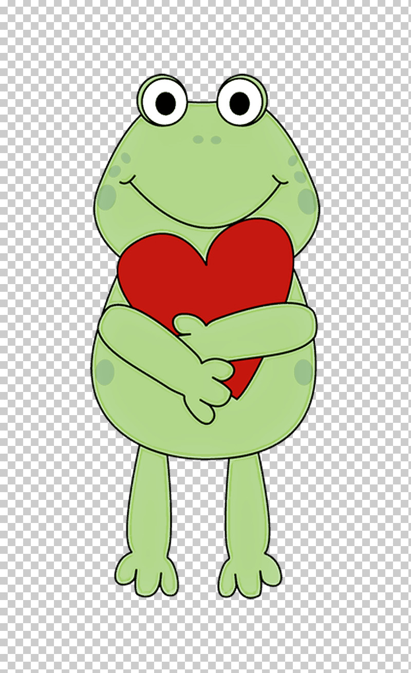 Frog Green True Frog Cartoon Toad PNG, Clipart, Agalychnis, Bullfrog, Cartoon, Frog, Green Free PNG Download