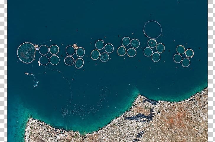 Aerial Photography Photographer Fish Farming PNG, Clipart, Aerial Photography, Agriculture, Aqua, Computer Wallpaper, Fish Free PNG Download
