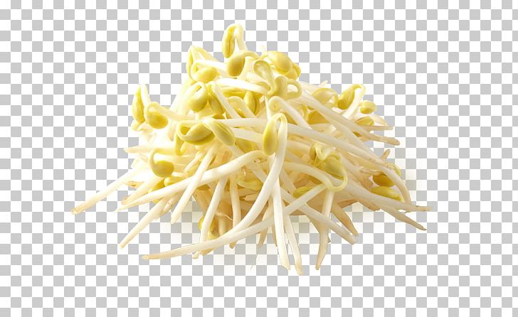 Bean Sprout Food Vegetable Seasoning Refrigeration PNG, Clipart, Alfalfa Sprouts, Bean Sprout, Bean Sprouts, Calorie, Commodity Free PNG Download