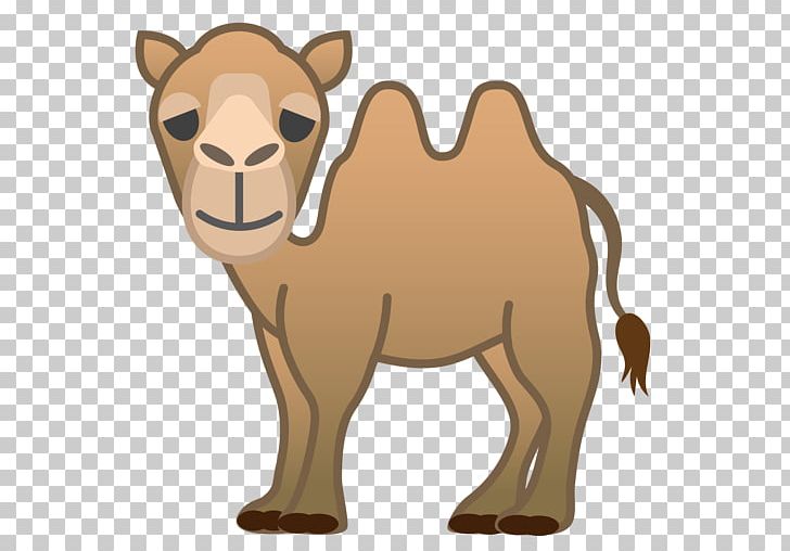 Dromedary Bactrian Camel Emoji Horse Noto Fonts PNG, Clipart, Animal, Arabian Camel, Bactrian Camel, Camel, Camel Like Mammal Free PNG Download