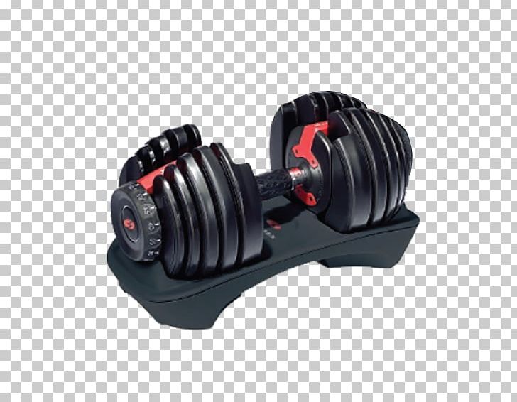 Dumbbell Exercise Bowflex Weight Training Fitness Centre PNG, Clipart, Ace Hardware Payson, Barbell, Bowflex, Dumbbell, Exercise Free PNG Download