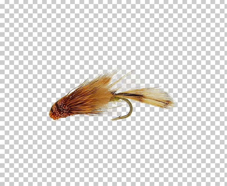 Fly Fishing Sculpins Rainbow Trout PNG, Clipart, Bonefish Grill, Brand Ambassador, Bugger, Fishing, Fly Fishing Free PNG Download