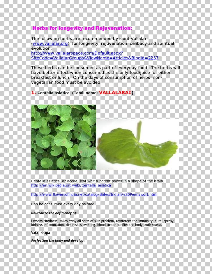 Herbalism Medicine Leaf Waterhyssop PNG, Clipart, Chronic Condition, Disease, Document, Ebook, Herb Free PNG Download