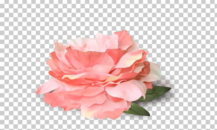 Portable Network Graphics Flower Garden Roses PNG, Clipart, Artificial Flower, Autocad Dxf, Bebe, Carnation, Cut Flowers Free PNG Download