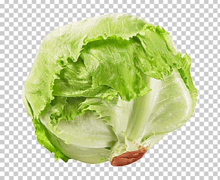 Romaine Lettuce Seed Iceberg Lettuce Rijk Zwaan Salad PNG, Clipart, Cabbage, Collard Greens, Description, Endive, Flower Free PNG Download