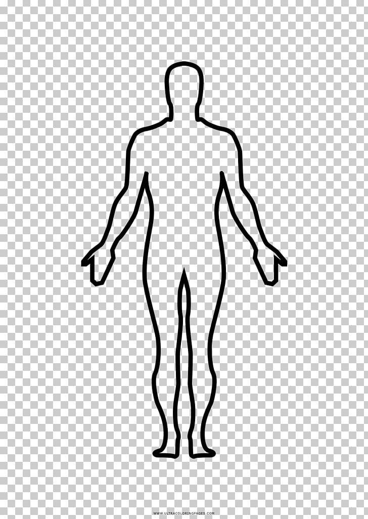 Thumb Homo Sapiens Human Body Anatomy Drawing PNG, Clipart, Abdomen, Anatomy, Arm, Art, Back Free PNG Download