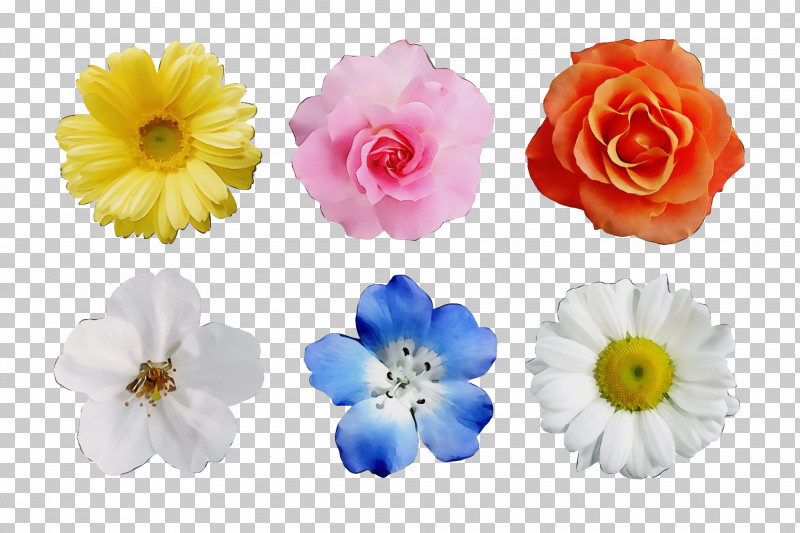 Floral Design PNG, Clipart, Artificial Flower, Biology, Cut Flowers, Floral Design, Flower Free PNG Download