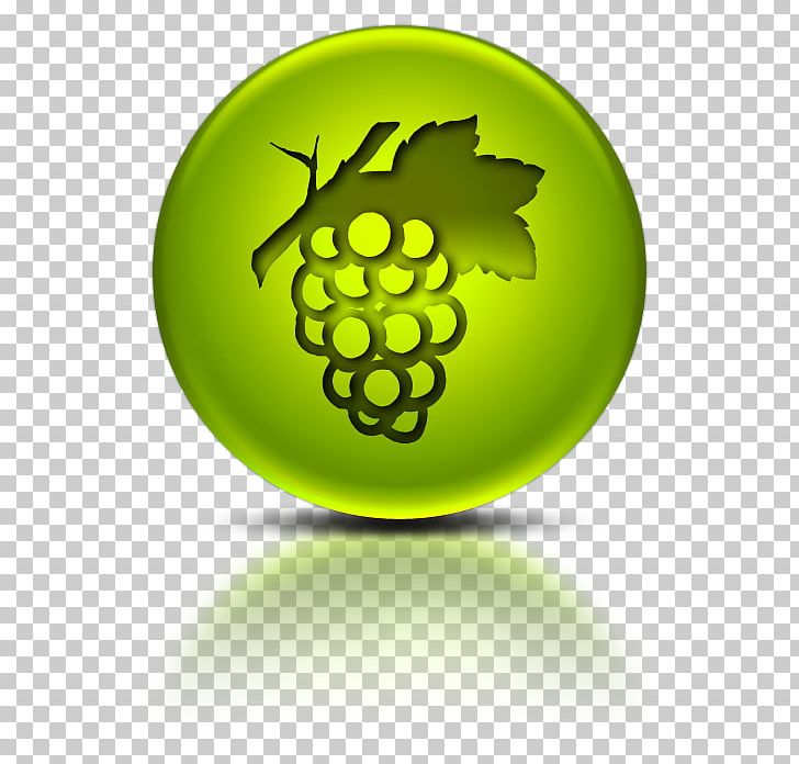 Cabernet Sauvignon Wine Grape PNG, Clipart, Black, Cabernet Sauvignon, Canopy, Circle, Common Grape Vine Free PNG Download