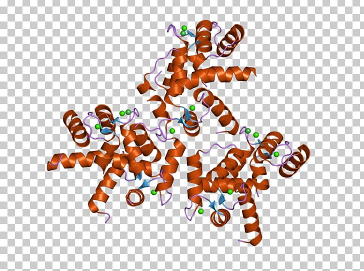 Cav1.3 Cav1.2 CALM3 Calmodulin 1 L-type Calcium Channel PNG, Clipart, Adenylyl Cyclase, Calcium, Calcium Channel, Calmodulin, Cav Free PNG Download