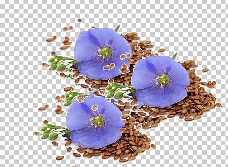 Flax Seed Stock Photography Flower Food PNG, Clipart, Artificial Flower, Blood, Blood Bag, Blood Drop, Blood Material Free PNG Download