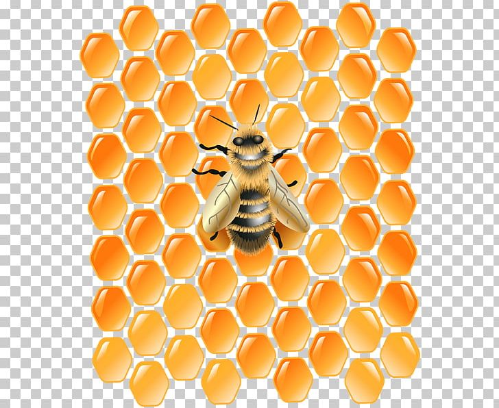 Honeycomb Western Honey Bee Desktop PNG, Clipart, Art, Bee, Beehive, Clip, Computer Icons Free PNG Download