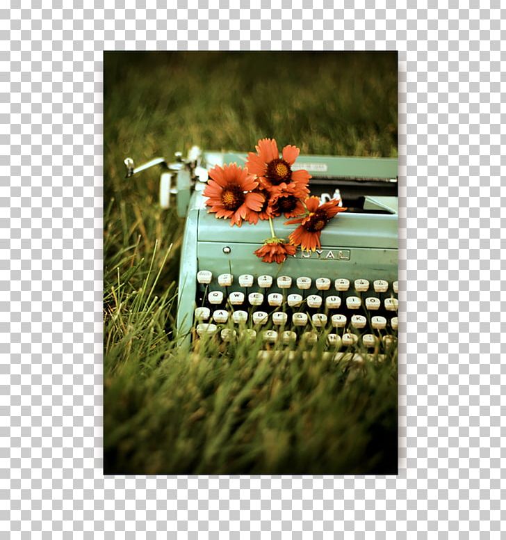 Writing Printing Photography Typewriter PNG, Clipart, Art, Book, Grass, Idea, Keira Rathbone Free PNG Download