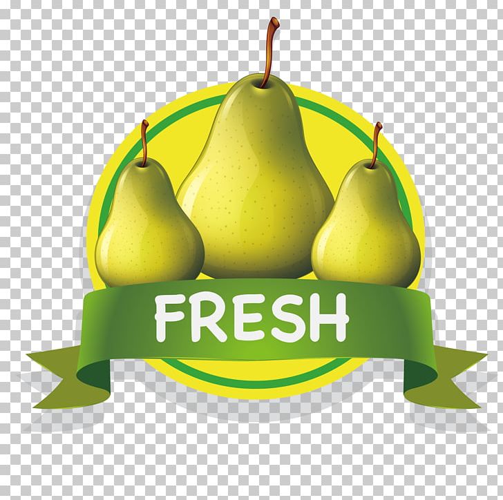 Fruit Mango PNG, Clipart, Banana Family, Citrus, Decoration, Food, Fruit Nut Free PNG Download