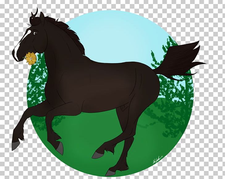 Mustang Stallion Halter Rein Bridle PNG, Clipart,  Free PNG Download