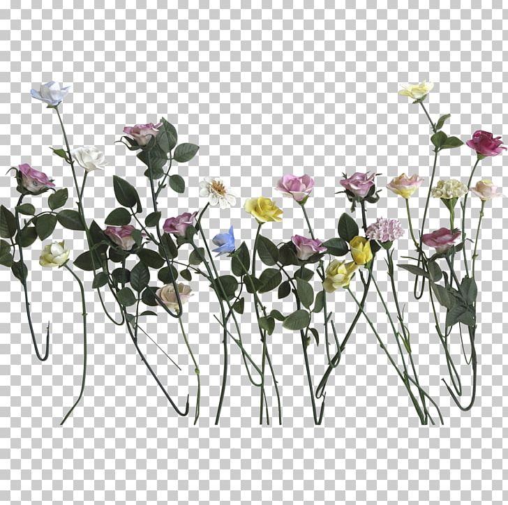 Cut Flowers Plant Stem Rose Porcelain PNG, Clipart, Branch, Carnation, Common Daisy, Cut Flowers, Daisy Free PNG Download