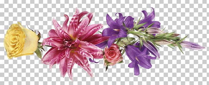 Flower Bouquet Tulip Foret De Vizzavone Blossom PNG, Clipart, Blossom, Child, Cut Flowers, Fleur, Flower Free PNG Download