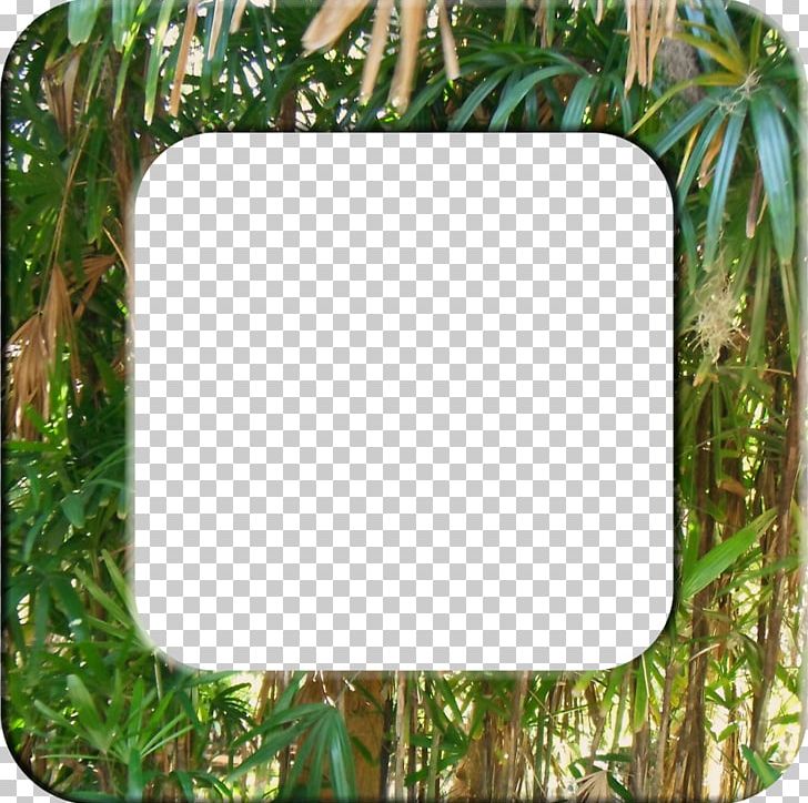Frames Borders And Frames PNG, Clipart, Borders, Borders And Frames, Clip Art, Copying, Grass Free PNG Download