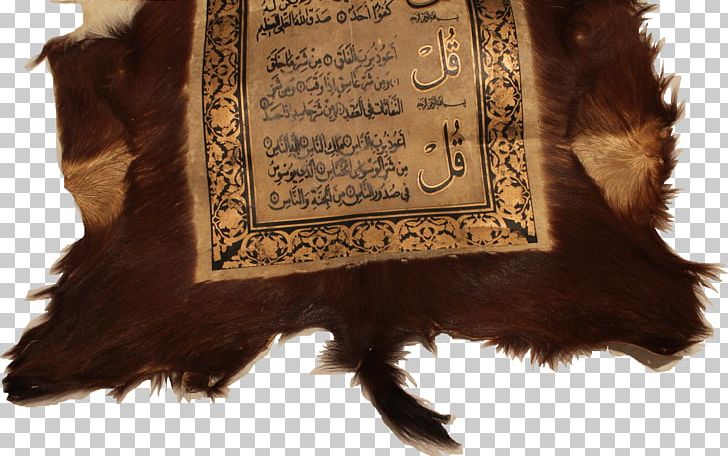 arabic calligraphy animals