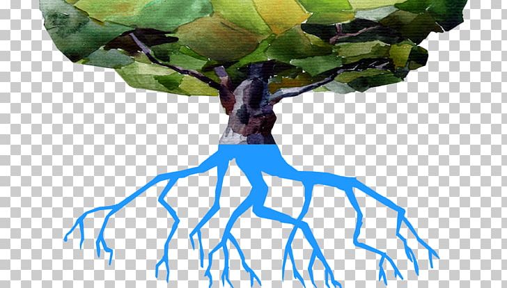 Twig Tree Roots Plant Stem PNG, Clipart, Auglis, Branch, Food, Human Body, Knowledge Free PNG Download