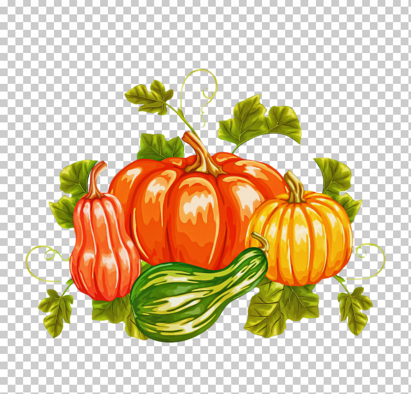 Thanksgiving Autumn Harvest PNG, Clipart, Autumn, Bush Tomato, Cucumber, Gourd, Harvest Free PNG Download