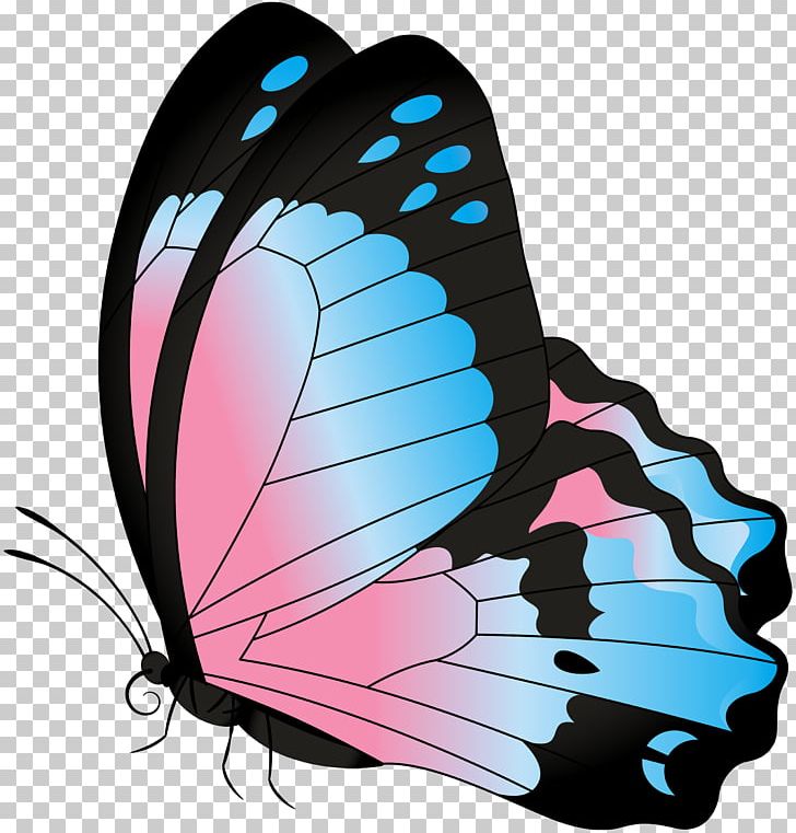 Brush Footed Butterfly Clipart Moth PNG, Clipart, Brush Footed Butterfly, Butterflies, Butterflies And Moths, Butterfly, Clipart Free PNG Download