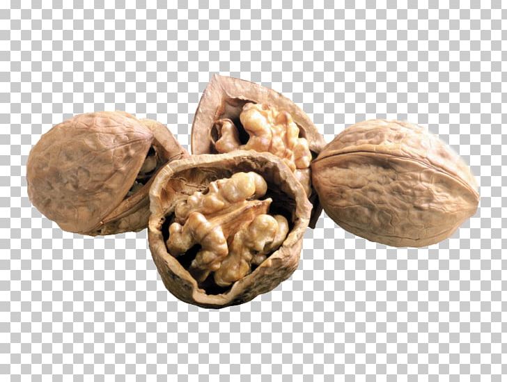 English Walnut Pistacia PNG, Clipart, Acorn, Cashew, Commodity, English , Food Free PNG Download